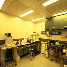 比加生子中心感恩回馈现场